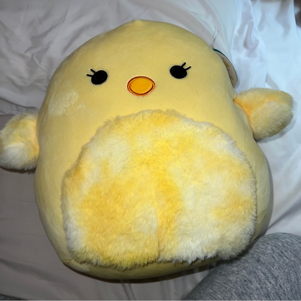 Aimee chick squishmallow